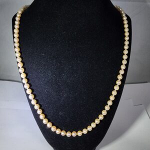 24″ Strand of Cream Colored Pearls With 14kt White Gold Clasp